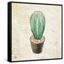 Desert Life 3-Kimberly Allen-Framed Stretched Canvas