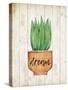 Desert Life Dreams-Kimberly Allen-Stretched Canvas