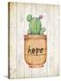 Desert Life Hope-Kimberly Allen-Stretched Canvas