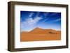 Desert Life-null-Framed Art Print