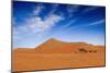 Desert Life-null-Mounted Art Print