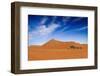 Desert Life-Hesham Alhumaid-Framed Photographic Print