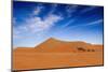 Desert Life-Hesham Alhumaid-Mounted Photographic Print