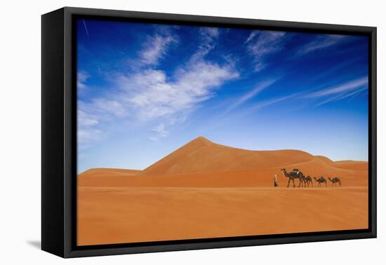 Desert Life-Hesham Alhumaid-Framed Stretched Canvas