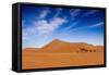 Desert Life-Hesham Alhumaid-Framed Stretched Canvas