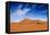 Desert Life-Hesham Alhumaid-Framed Stretched Canvas