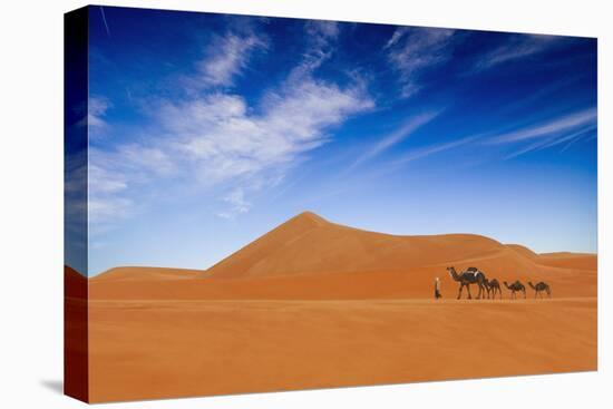 Desert Life-Hesham Alhumaid-Stretched Canvas