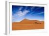 Desert Life-Hesham Alhumaid-Framed Photographic Print