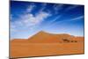 Desert Life-Hesham Alhumaid-Mounted Photographic Print