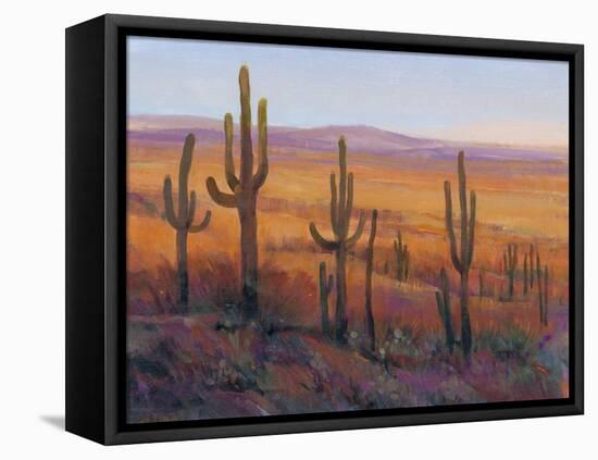 Desert Light I-Tim O'toole-Framed Stretched Canvas