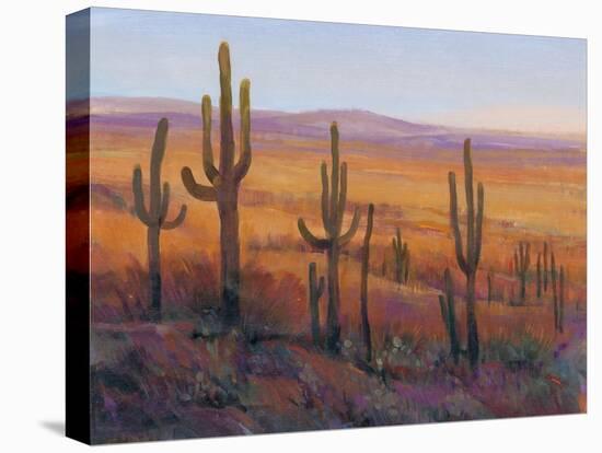 Desert Light I-Tim O'toole-Stretched Canvas