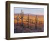 Desert Light I-Tim O'toole-Framed Art Print