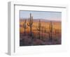 Desert Light I-Tim O'toole-Framed Art Print