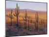 Desert Light I-Tim O'toole-Mounted Art Print