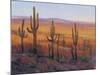 Desert Light I-Tim O'toole-Mounted Art Print