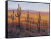 Desert Light I-Tim O'toole-Framed Stretched Canvas