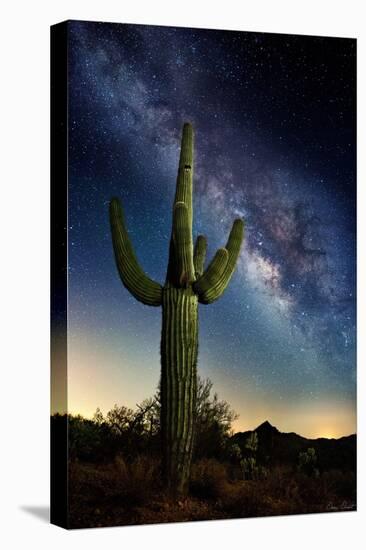 Desert Lights I-David Drost-Stretched Canvas