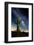 Desert Lights I-David Drost-Framed Photographic Print