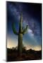 Desert Lights I-David Drost-Mounted Photographic Print