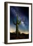 Desert Lights I-David Drost-Framed Photographic Print