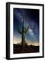 Desert Lights I-David Drost-Framed Photographic Print