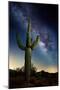 Desert Lights I-David Drost-Mounted Photographic Print