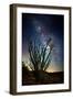 Desert Lights II-David Drost-Framed Photographic Print