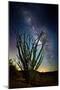 Desert Lights II-David Drost-Mounted Photographic Print