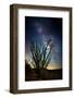 Desert Lights II-David Drost-Framed Photographic Print