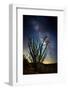 Desert Lights II-David Drost-Framed Photographic Print