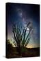 Desert Lights II-David Drost-Stretched Canvas