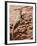 Desert Lizard, Petra, Wadi Musa (Mousa), Jordan, Middle East-Christian Kober-Framed Photographic Print