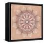 Desert Mandala-Yvette St. Amant-Framed Stretched Canvas