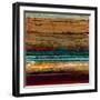 Desert Melody III-Douglas-Framed Giclee Print