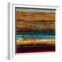 Desert Melody III-Douglas-Framed Giclee Print