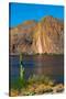 Desert mountain and Canyon lake, Superstition Mountains, Arizona, USA-Anna Miller-Stretched Canvas