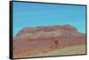 Desert Mountain-NaxArt-Framed Stretched Canvas