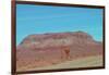 Desert Mountain-NaxArt-Framed Art Print