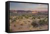 Desert Near Wahweap, Glen Canyon National Recreation Area, Utah, Usa-Rainer Mirau-Framed Stretched Canvas