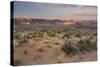 Desert Near Wahweap, Glen Canyon National Recreation Area, Utah, Usa-Rainer Mirau-Stretched Canvas