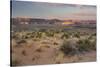 Desert Near Wahweap, Glen Canyon National Recreation Area, Utah, Usa-Rainer Mirau-Stretched Canvas