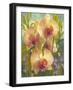 Desert Night Delight-Elizabeth Horning-Framed Giclee Print