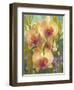 Desert Night Delight-Elizabeth Horning-Framed Giclee Print