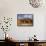 Desert Oak Tree and Spinifex Grass at Red Rock Base of Ayers Rock, Northern Territory, Australia-Paul Souders-Framed Stretched Canvas displayed on a wall