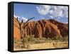 Desert Oak Tree and Spinifex Grass at Red Rock Base of Ayers Rock, Northern Territory, Australia-Paul Souders-Framed Stretched Canvas