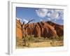 Desert Oak Tree and Spinifex Grass at Red Rock Base of Ayers Rock, Northern Territory, Australia-Paul Souders-Framed Photographic Print