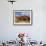 Desert Oak Tree and Spinifex Grass at Red Rock Base of Ayers Rock, Northern Territory, Australia-Paul Souders-Framed Photographic Print displayed on a wall