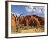 Desert Oak Tree and Spinifex Grass at Red Rock Base of Ayers Rock, Northern Territory, Australia-Paul Souders-Framed Photographic Print