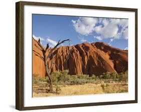 Desert Oak Tree and Spinifex Grass at Red Rock Base of Ayers Rock, Northern Territory, Australia-Paul Souders-Framed Photographic Print