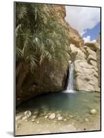 Desert Oasis, Chebika, Tunisia, North Africa, Africa-Ethel Davies-Mounted Photographic Print